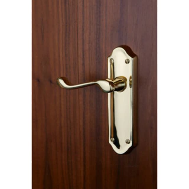 Loops PAIR Victorian Upturned Handle on Latch Backplate 168 x 47mm Polished Brass Metallics