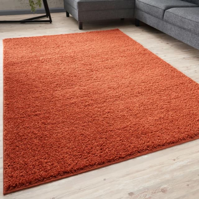 THE RUGS Shaggy Rugs Terracotta Living Room Rug - Soft Fluffy Thick Carpet For Bedrooms & Kitchen Easy To Clean Home Decor Rugs Size: 80cm x 300 cm