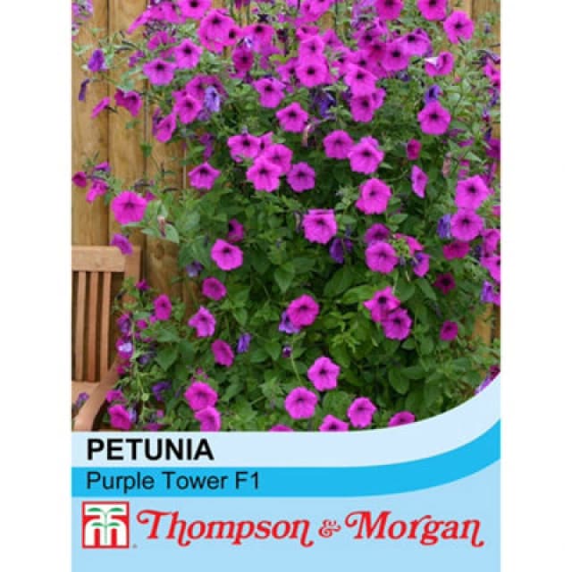 Thompson & Morgan Petunia Hybrida Purple Tower F1 Hybrid 1 Packet (25 Seeds )