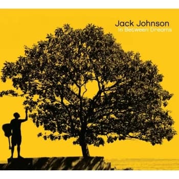 Jack Johnson - In Between Dreams Gatefold Vinyl