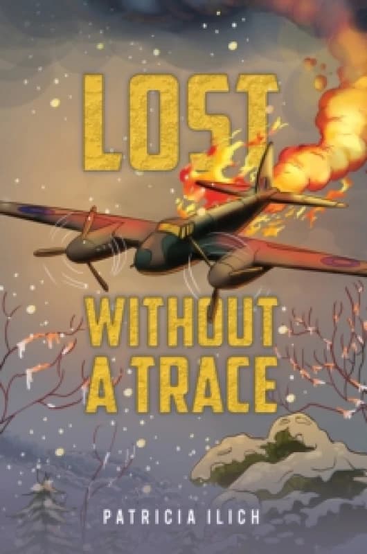 Lost Without a Trace. Paperback. By Patricia Ilich Books