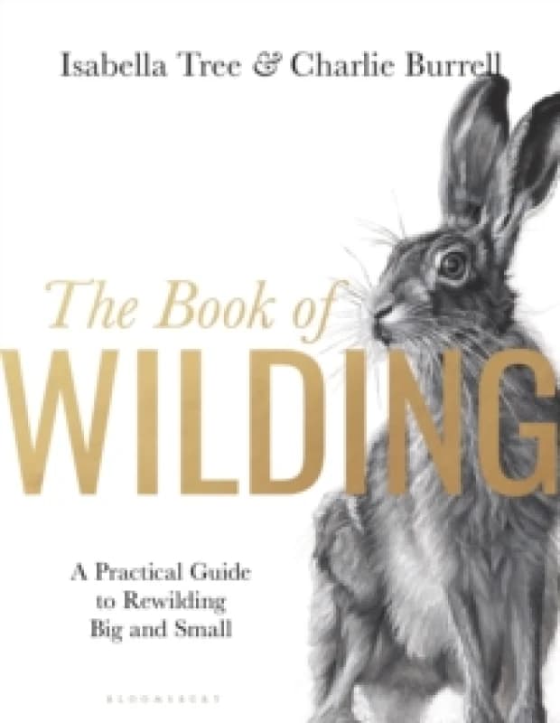 The Book of Wilding : A Practical Guide to Rewilding, Big and Small Hardback