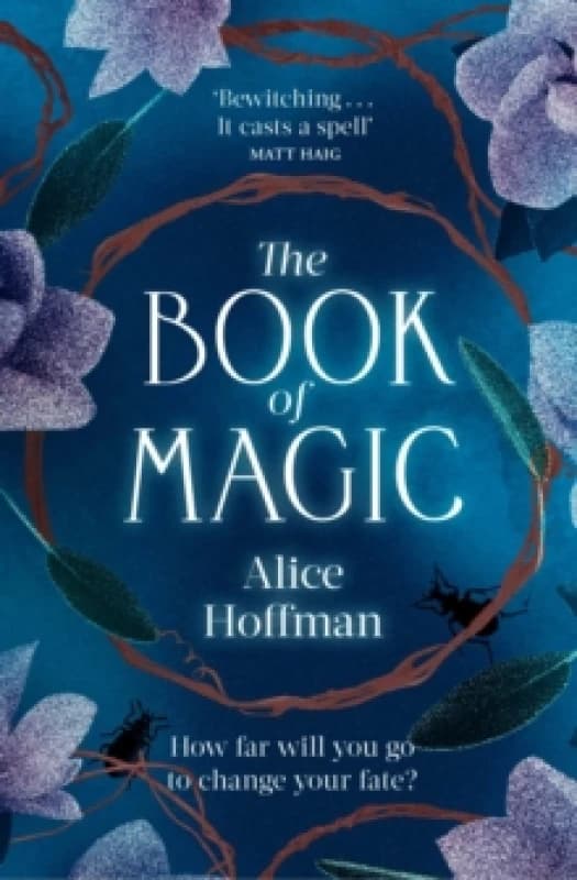The Book of Magic : Volume 4 Paperback / softback