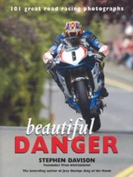 Beautiful Danger by Stephen Davison Hardback