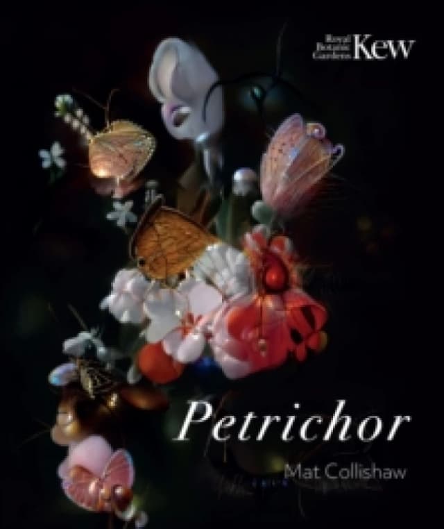 Petrichor Paperback / softback