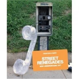 Street Renegades by Francesca Gavin Paperback