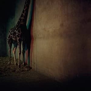 Alien Ensemble 2 by Alien Ensemble CD Album