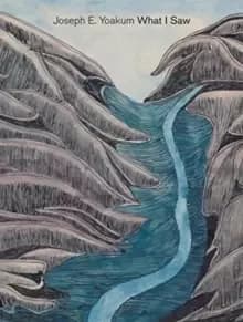 Joseph E. Yoakum : What I Saw