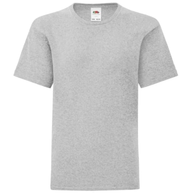 Fruit Of The Loom Iconic girls's in Grey