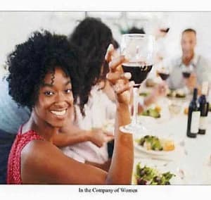 In the Company of Women by Alwin Peter Paperback