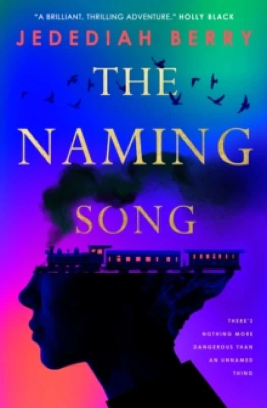 The Naming Song Paperback / softback