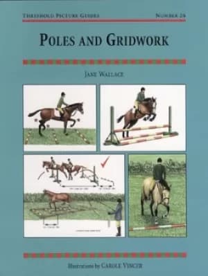 Poles and gridwork by Jane Wallace