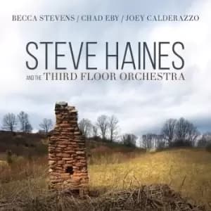 Steve Haines and the Third Floor Orchestra by Steve Haines and the Third Floor Orchestra CD Album