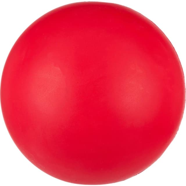 Sports Directory Coated Foam Ball Red unisex 21cm