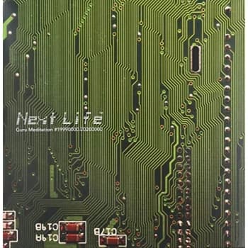 Next Life - Guru Meditation Vinyl