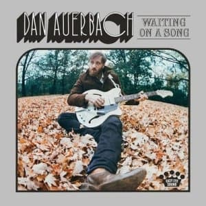 Waiting On a Song by Dan Auerbach Vinyl Album