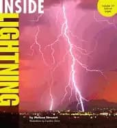 inside lightning