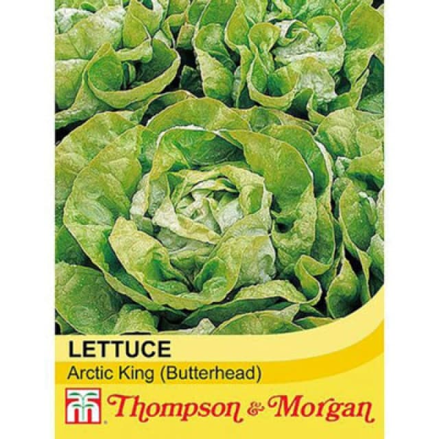 Thompson & Morgan Lettuce (Butterhead) Arctic King 1 Seed Packet