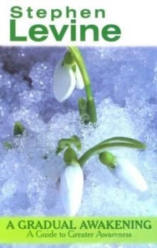 A Gradual Awakening by Stephen Levine Book