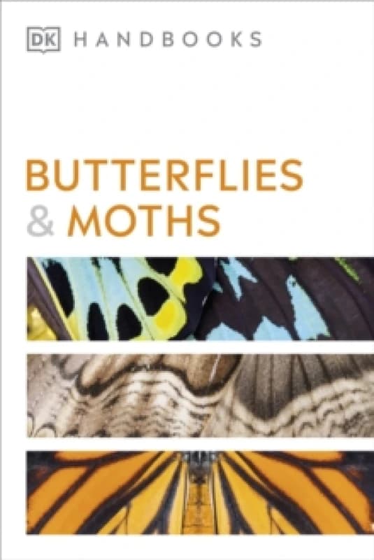 Butterflies and Moths. Paperback. By David J Carter Books