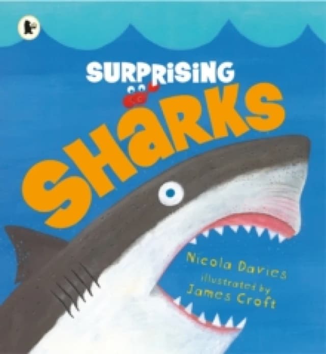 Surprising Sharks Paperback / softback