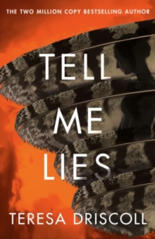 Tell Me Lies Paperback / softback
