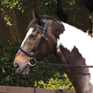 Requisite Raised Bridle and Reins - Black