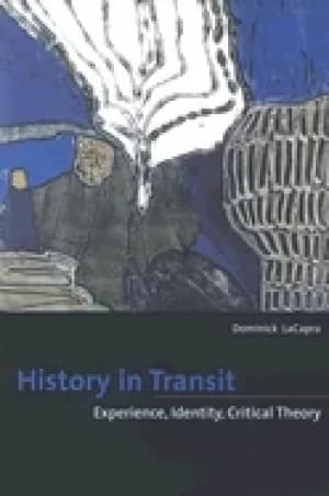 history in transit experience identity critical theory