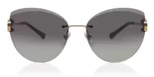 Bvlgari Sunglasses BV6166B 20148G