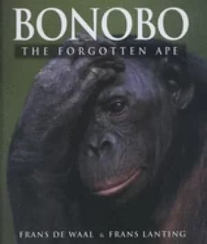 bonobo the forgotten ape