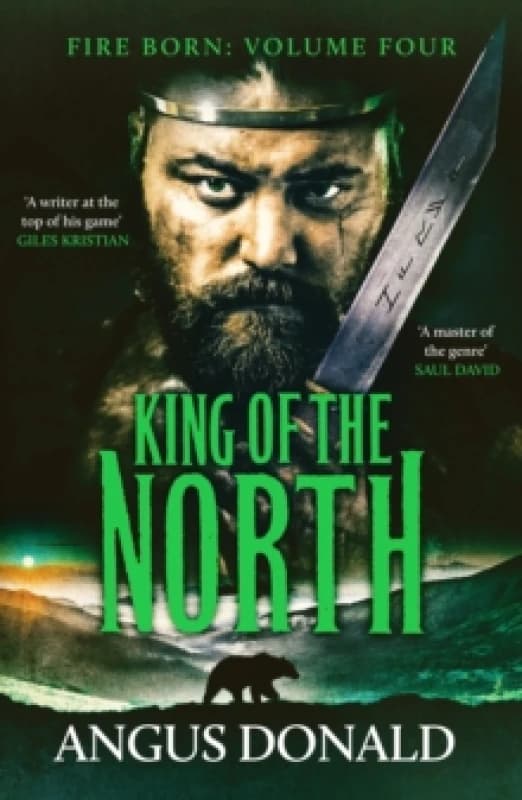 King of the North : A Viking saga of battle and glory Paperback / softback