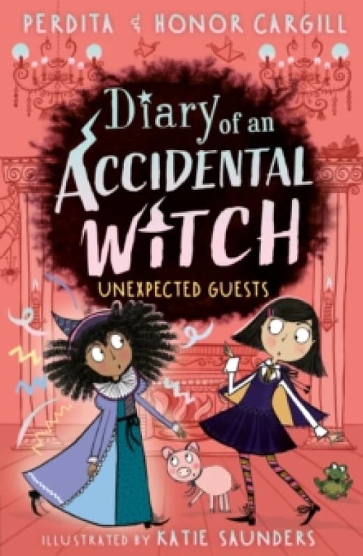 Diary of an Accidental Witch: Unexpected Guests Paperback / softback