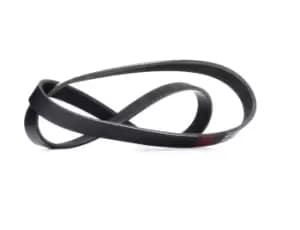 RIDEX V-ribbed belt FORD,FIAT,PEUGEOT 305P0341 46747484,46747485,71749448 1650769,88WF6C301A1A,9091602664,90916W2018,9771339850,9091602664,90916W2018