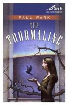 The Tourmaline by Paul Park Paperback