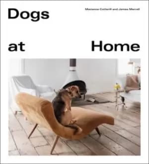 Dogs at home by Marianne Cotterill