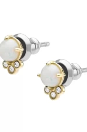 Fossil Val Earrings JF03876710