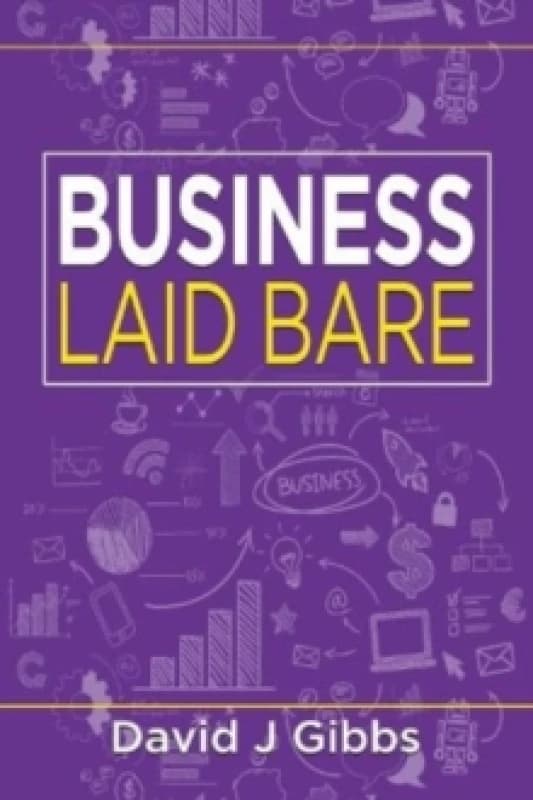 Business Laid Bare Paperback / softback