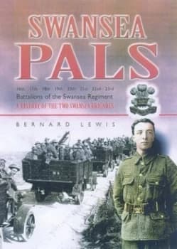 Swansea Pals by Bernard Lewis Hardback