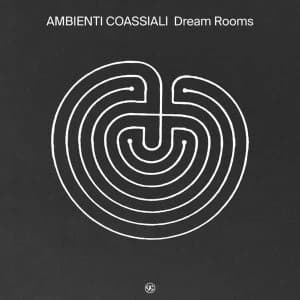 Dream Rooms Vinyl