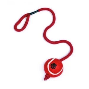 Petface-Bal- on-a-String