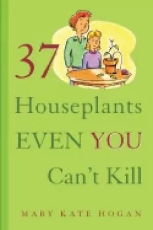 37 houseplants even you cant kill
