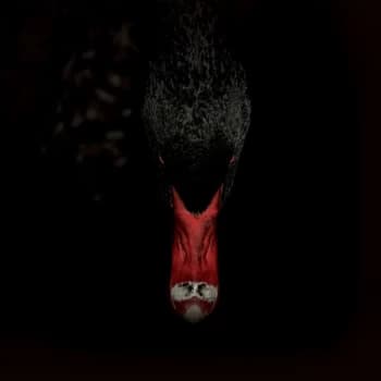 Sankt Otten + N (47) - Männerfreundschaften Und Metaphysik Vinyl