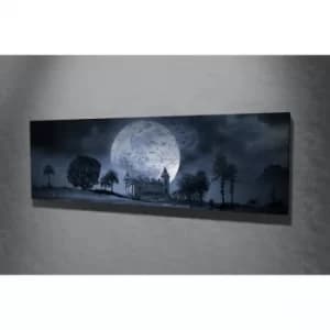 PC026 Multicolor Decorative Canvas Painting