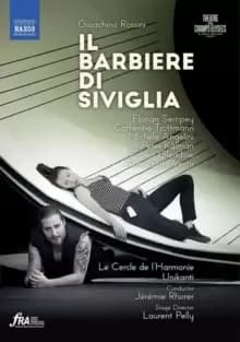 Il Barbiere Di Siviglia: Theatre Des Champs-Elysees (Rhorer)