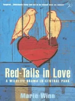Red-tails in love by Marie Winn