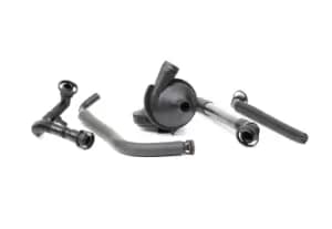 RIDEX Valve, engine block breather 3886V0050 BMW,3 Limousine (E46),5 Limousine (E60),5 Touring (E61),5 Limousine (E39),3 Touring (E46),3 Coupe (E46)