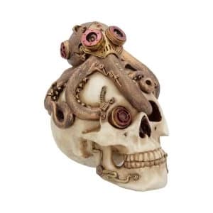 Octo Craniotomy Skull