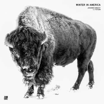 Brecht, Johannes / Fetsum - Winter In America Vinyl