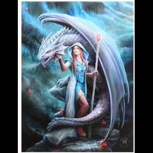 Small Dragon Mage Canvas Picture by Anne Stokes