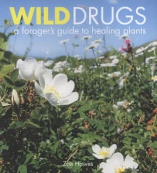 Wild Drugs by Zoe Hawes Paperback